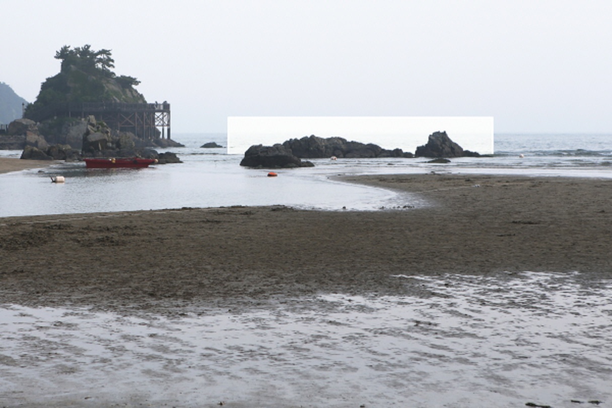 이명호, 다대포 돌