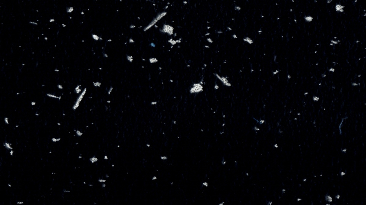 그림을 뺀 그림을 위하여 For Subtracted Art from Art