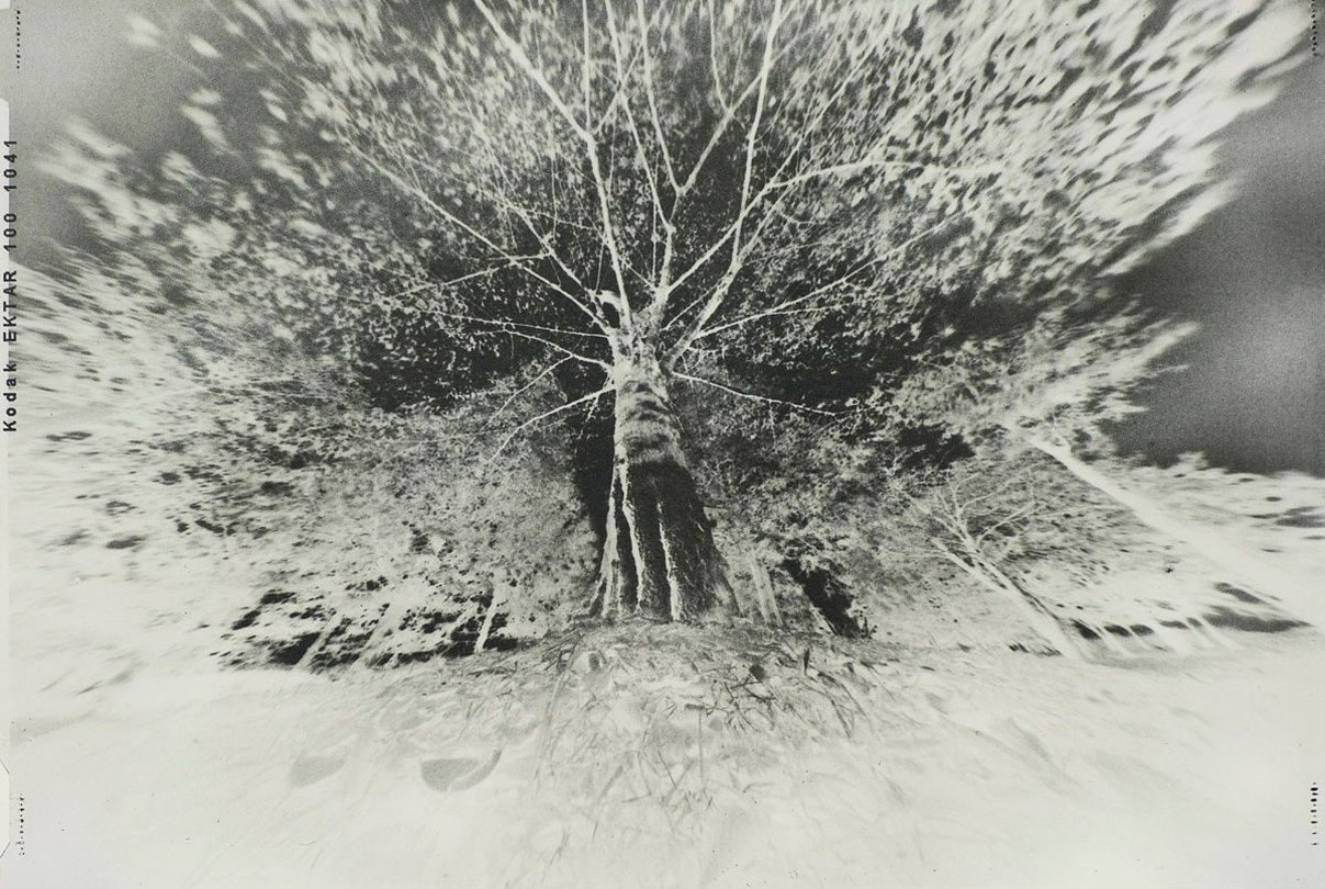 주도양, The Negative VI, Gum Bichromate_ Handmade Pinhole Camera_790x1120mm_2016