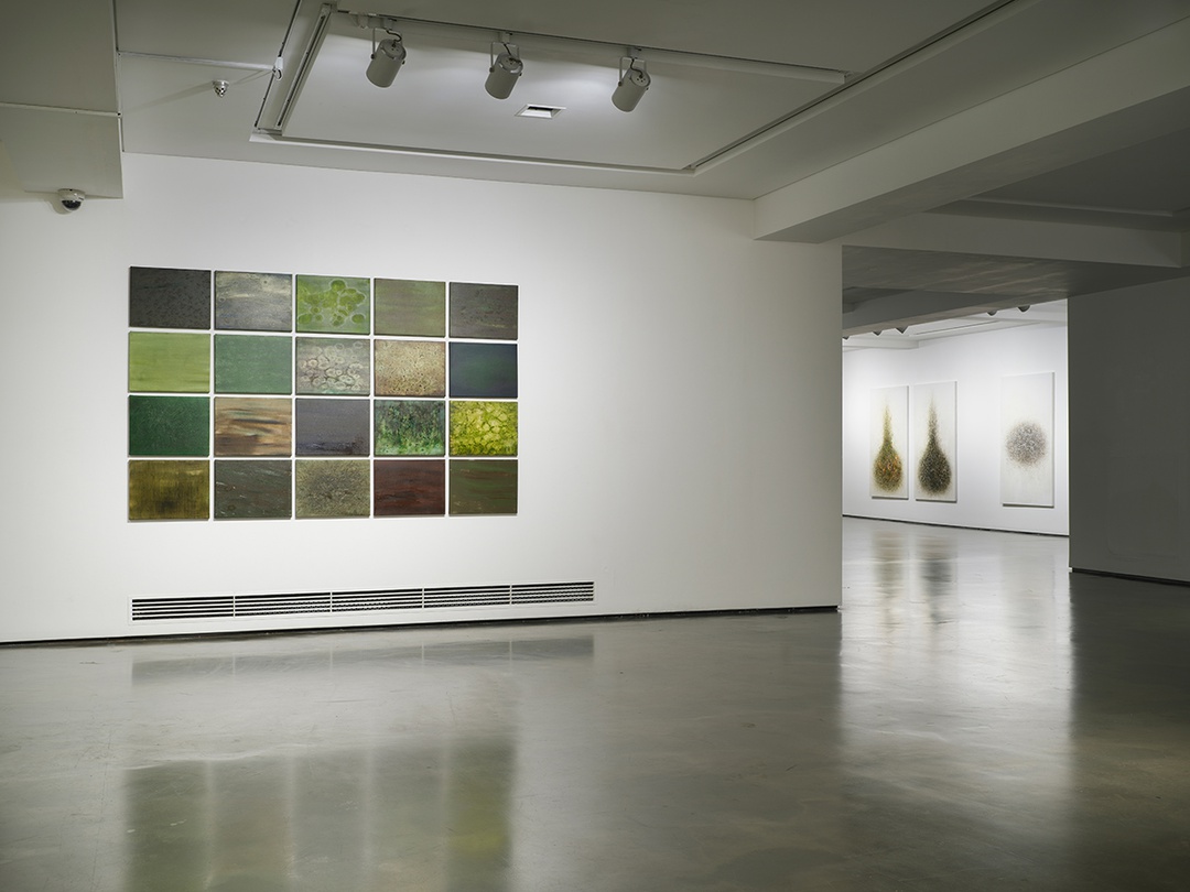 전시전경, oci미술관