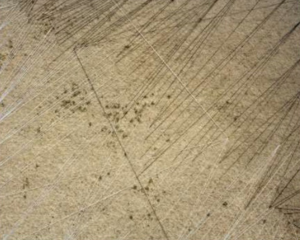 박형렬, Figure Project, Earth#25, Pigment Print, 144x180cm, 2013