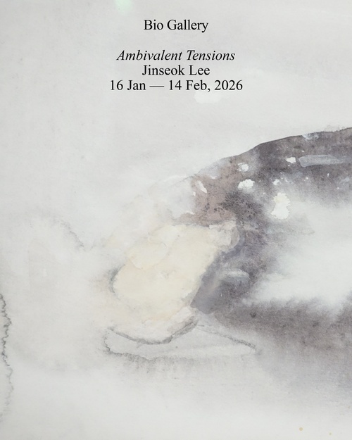 Jinseok Lee: Ambivalent Tensions