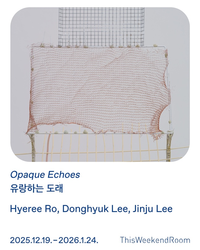 유랑하는 도래 Opaque Echoes