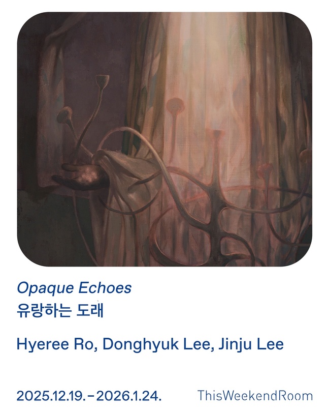 유랑하는 도래 Opaque Echoes