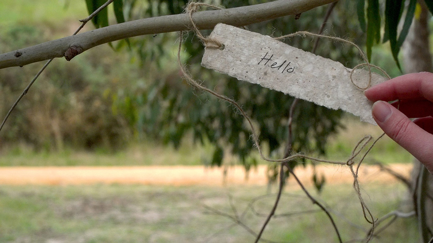 캐서린 고프-브래이디 <나무와의 인터뷰>