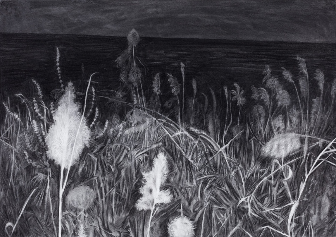 김제민, 무심한 풍경_종이에 목탄_75x105.5cm_2016