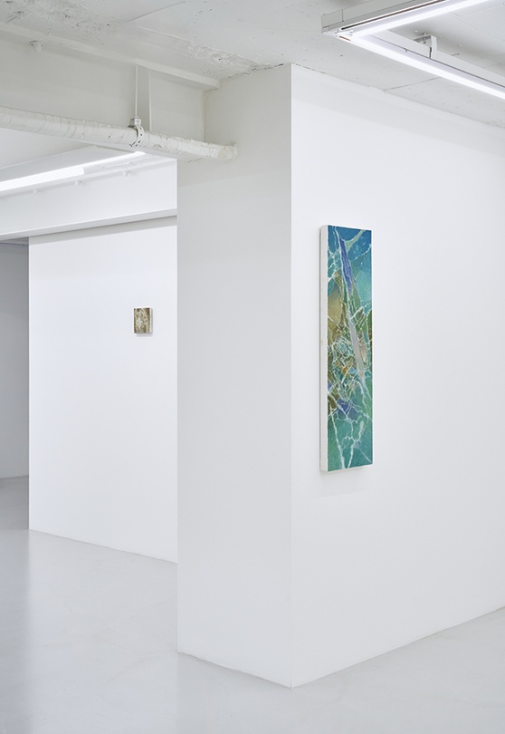 전시전경, 갤러리sp