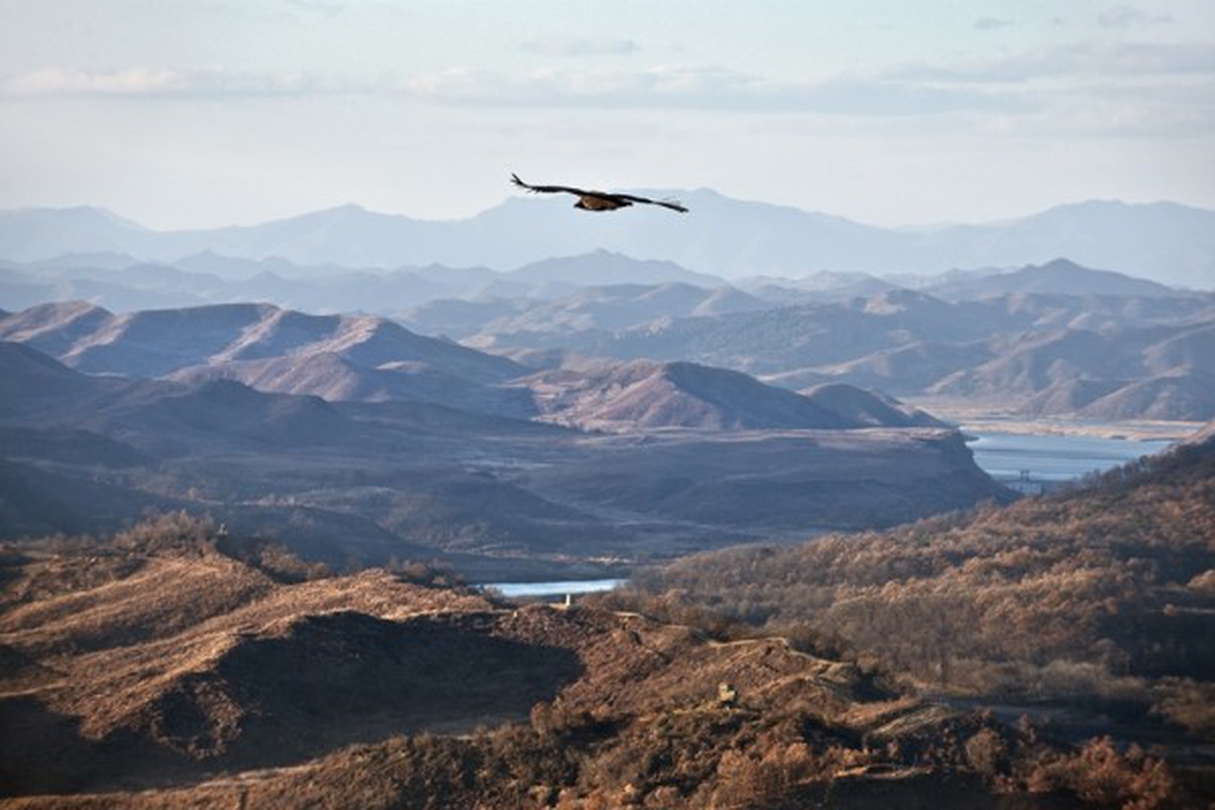 박종우, <비무장지대 Ⅰ>, Archival Digital Print, 85x57cm, 2010