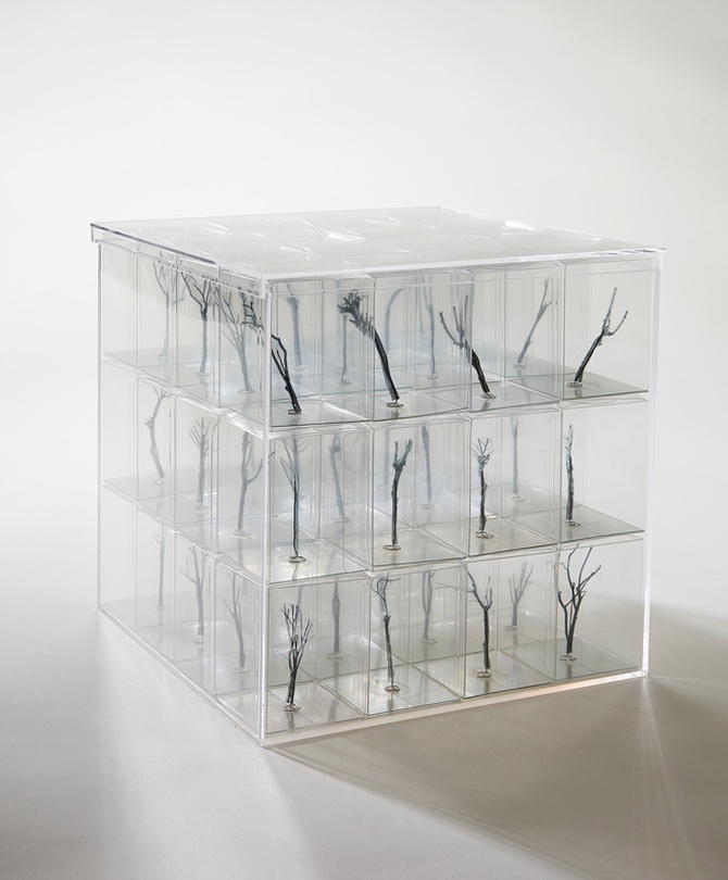 배성희, garden2 이미지제공 : 의외의조합