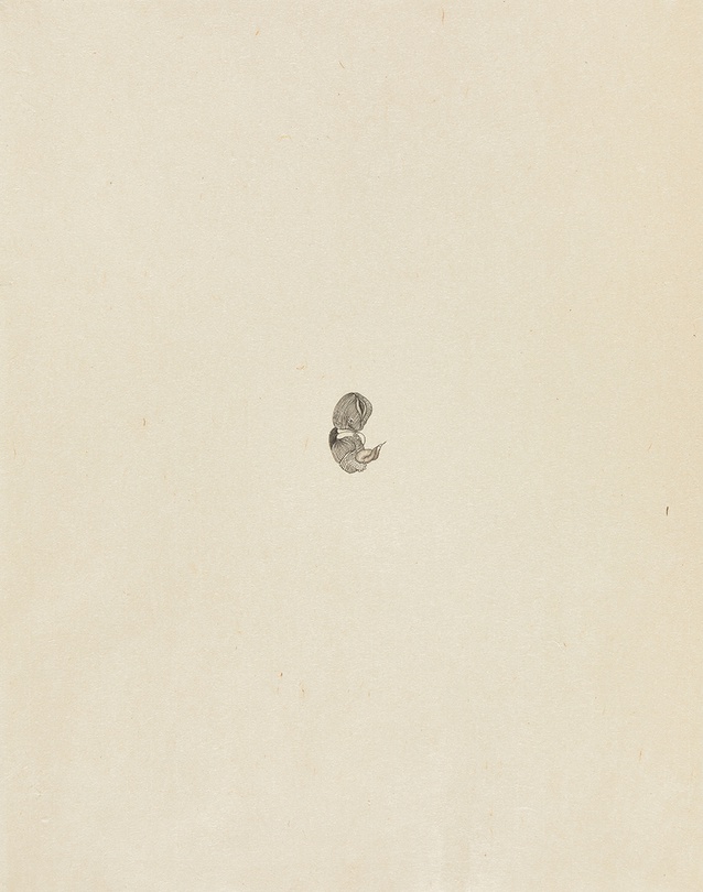 국동완, <나는 셋 아니 넷 아니 다섯>연작 9주_한지에 흑연_ 44x56cm_2020