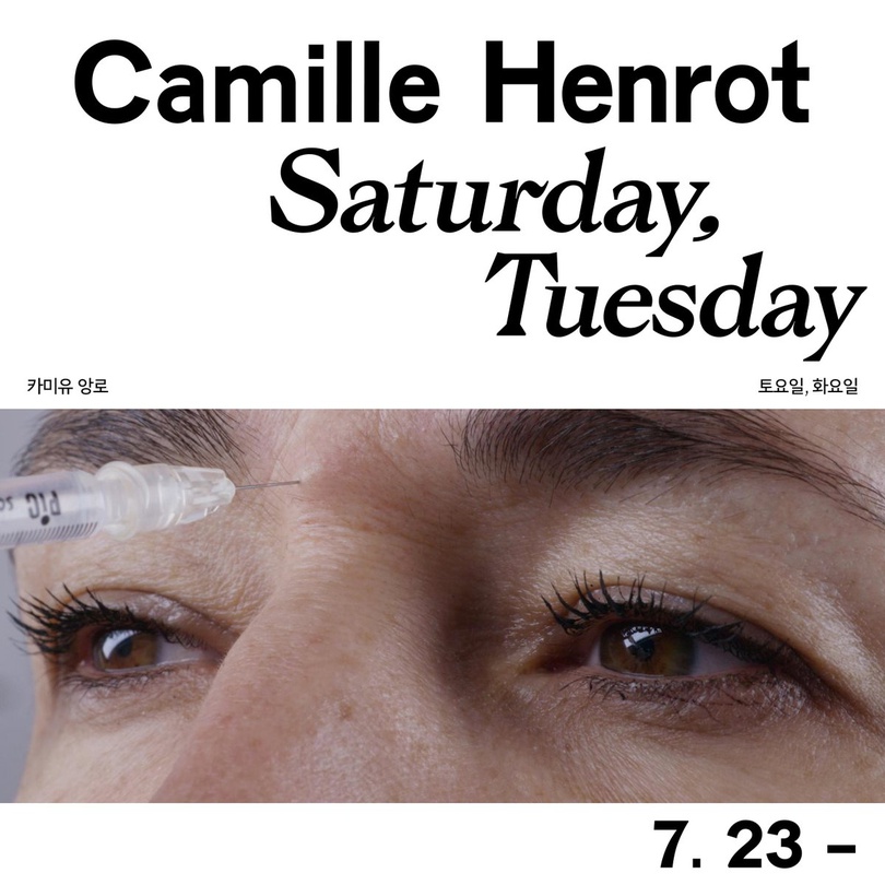 카미유 앙로 : 토요일, 화요일 Camille Henrot, Saturday, Tuesday
