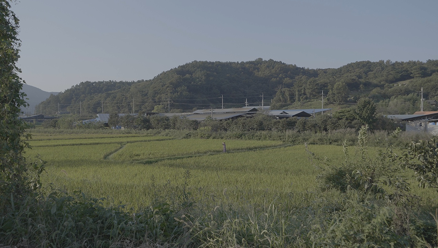 양윤화, 두 개의 터널을 지나서 본 태양 그 옆에 쌍무지개, 스틸이미지