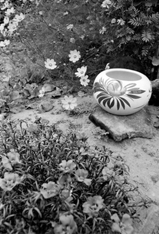 사진가 김종수 40주년 회고전 : 토지