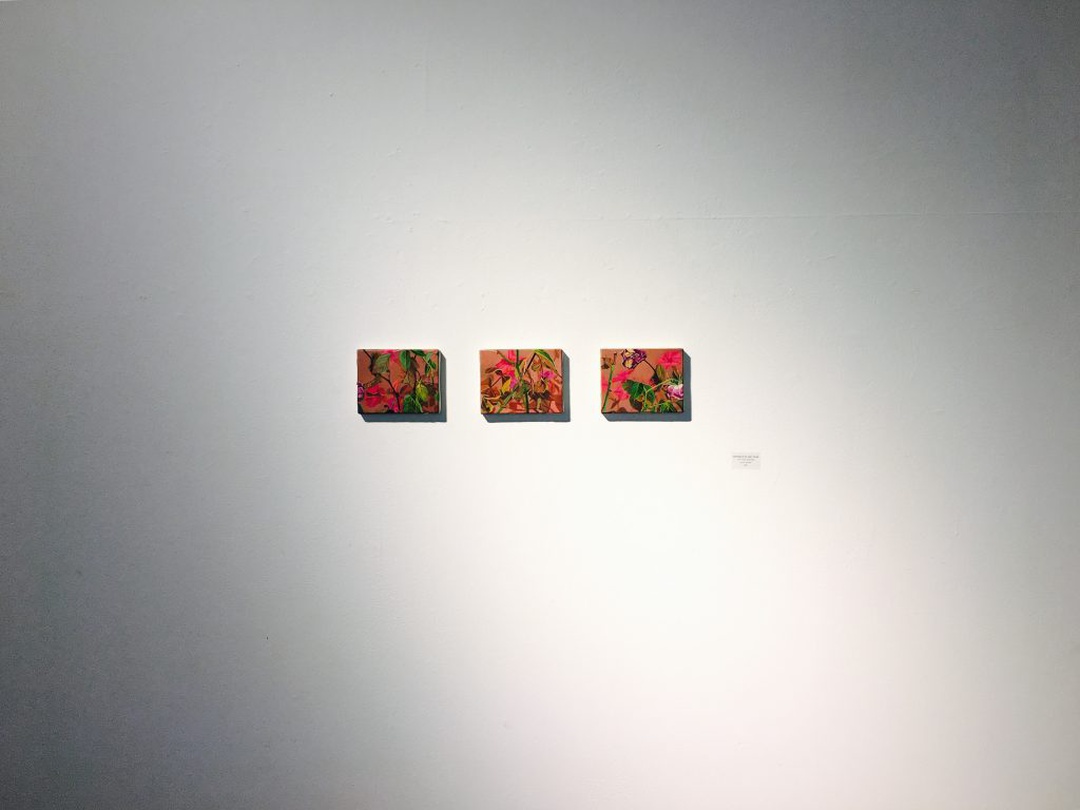 전시전경 ⓒ 갤러리LVS