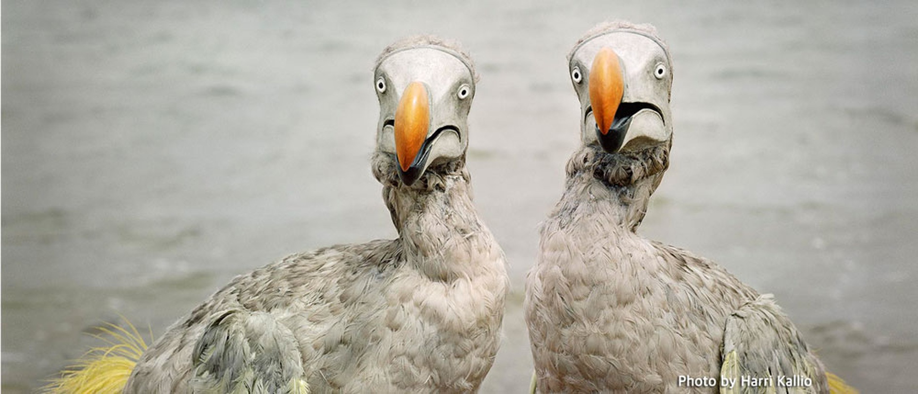 서울뉴욕포토페스티벌 2015