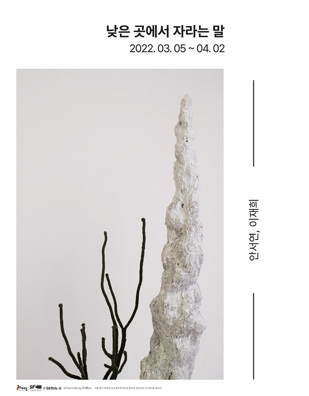 안서연 이재희 2인전: 낮은 곳에서 자라는 말