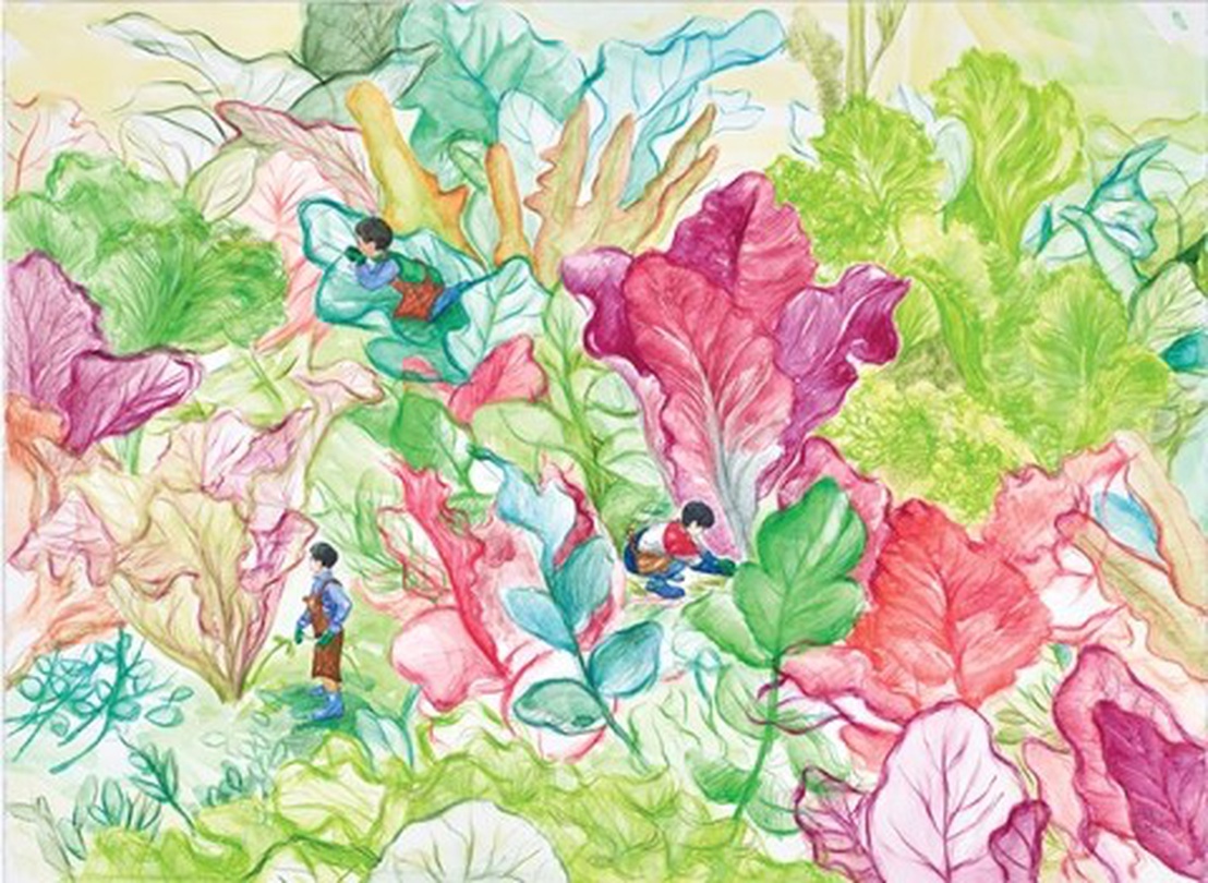 장성아, 상추밭-3, 종이에 수채색연필, 57x76.5cm, 2018