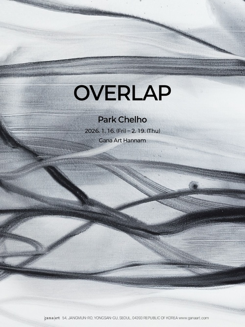 박철호 개인전: Overlap