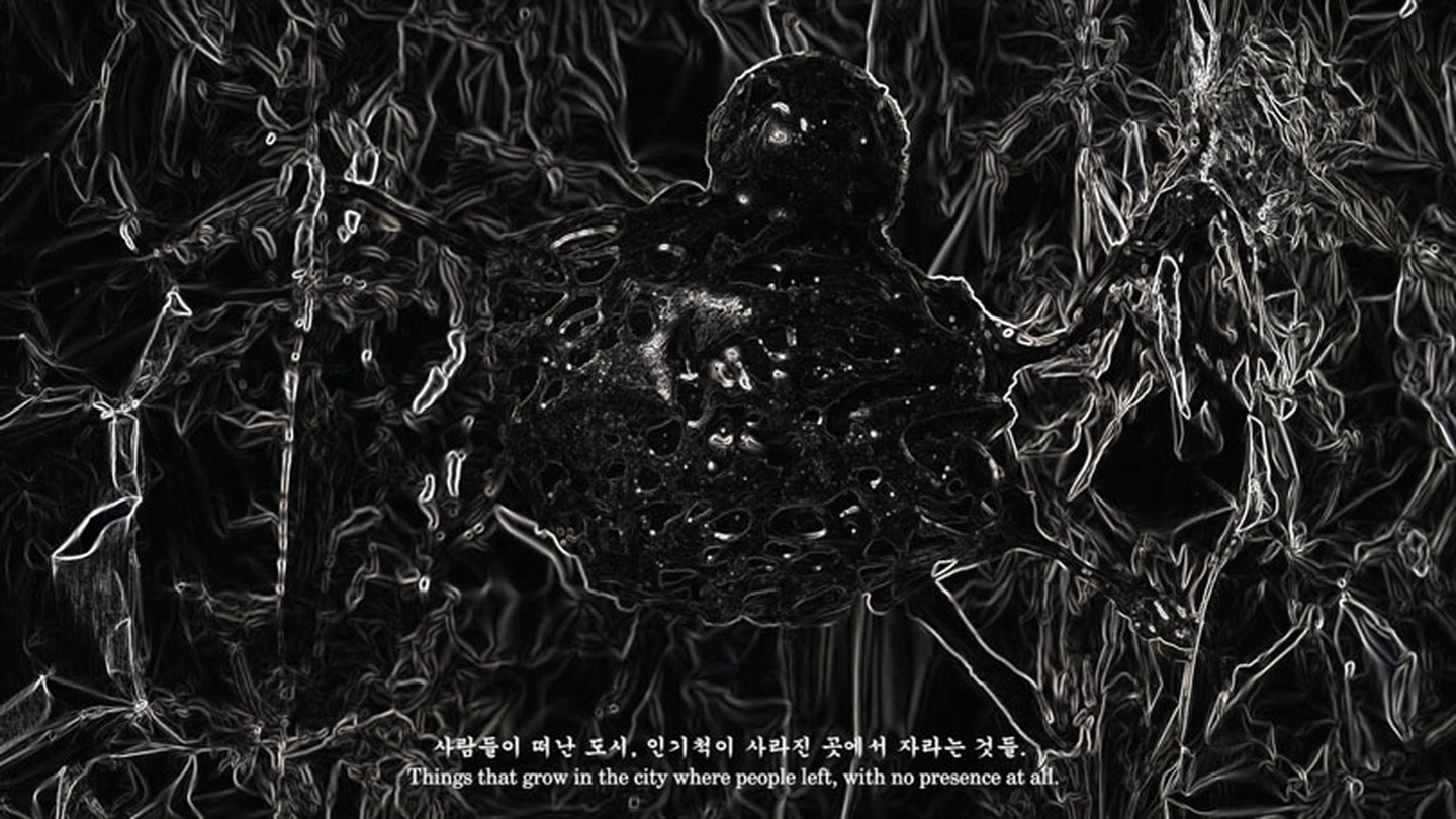 무진형제, 풍경(바람의 경전), 단채널 영상, 스틸컷