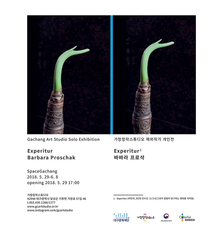 바바라 프로샥 Barbara Proschak : experitur