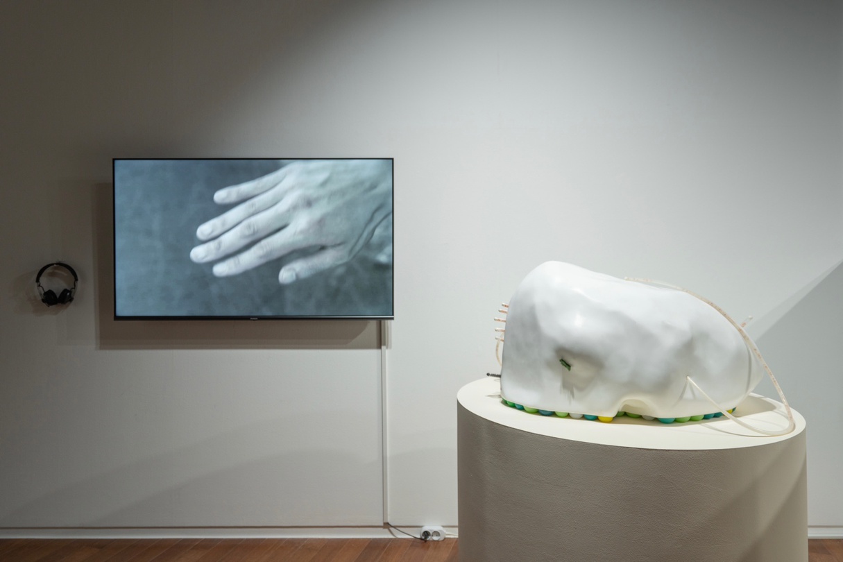 김채린, voice of sculpture, 2023, 강화석고,플라스틱점토, 에코플랙스 0030실리콘,  빨대, 실리콘튜브, 히말라야쏠트, 통후추, 하이포린, 수풀모형재료, 단채널 영상