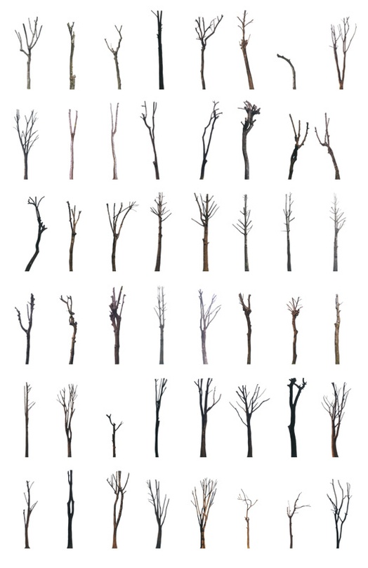 배성희, trees 이미지제공 : 의외의조합