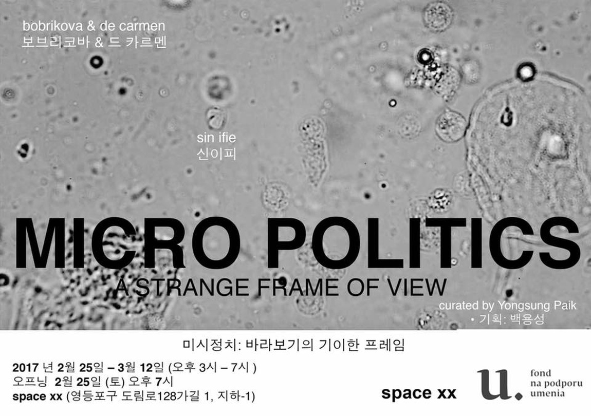 미시정치: 바라보기의 기이한 프레임 Micro-Politics: A Strange Frame of view