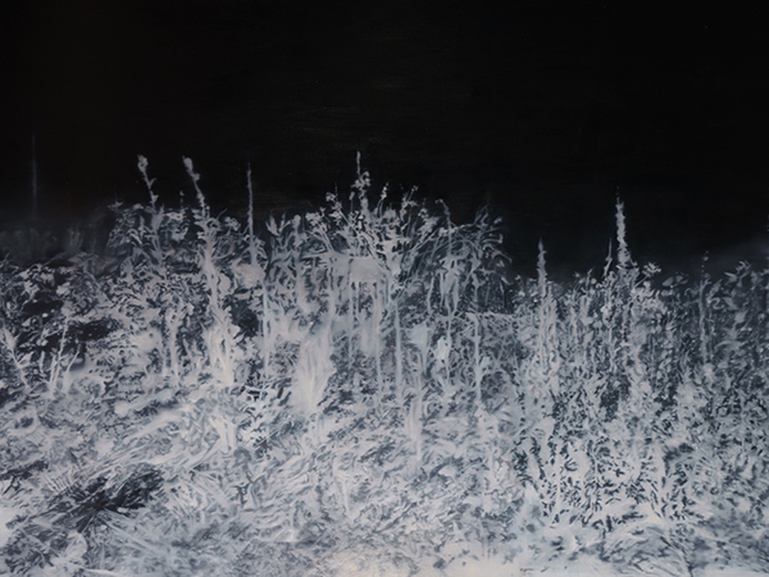 박지수, Monologue landscapes I, oil on canvas, 193.9x259.1cm, 2017