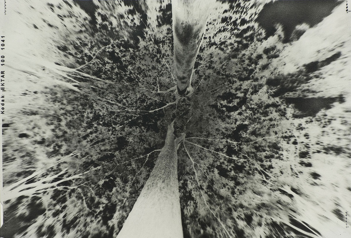 주도양, The Negative VII, Gum Bichromate_ Handmade Pinhole Camera_790x1120mm_2016