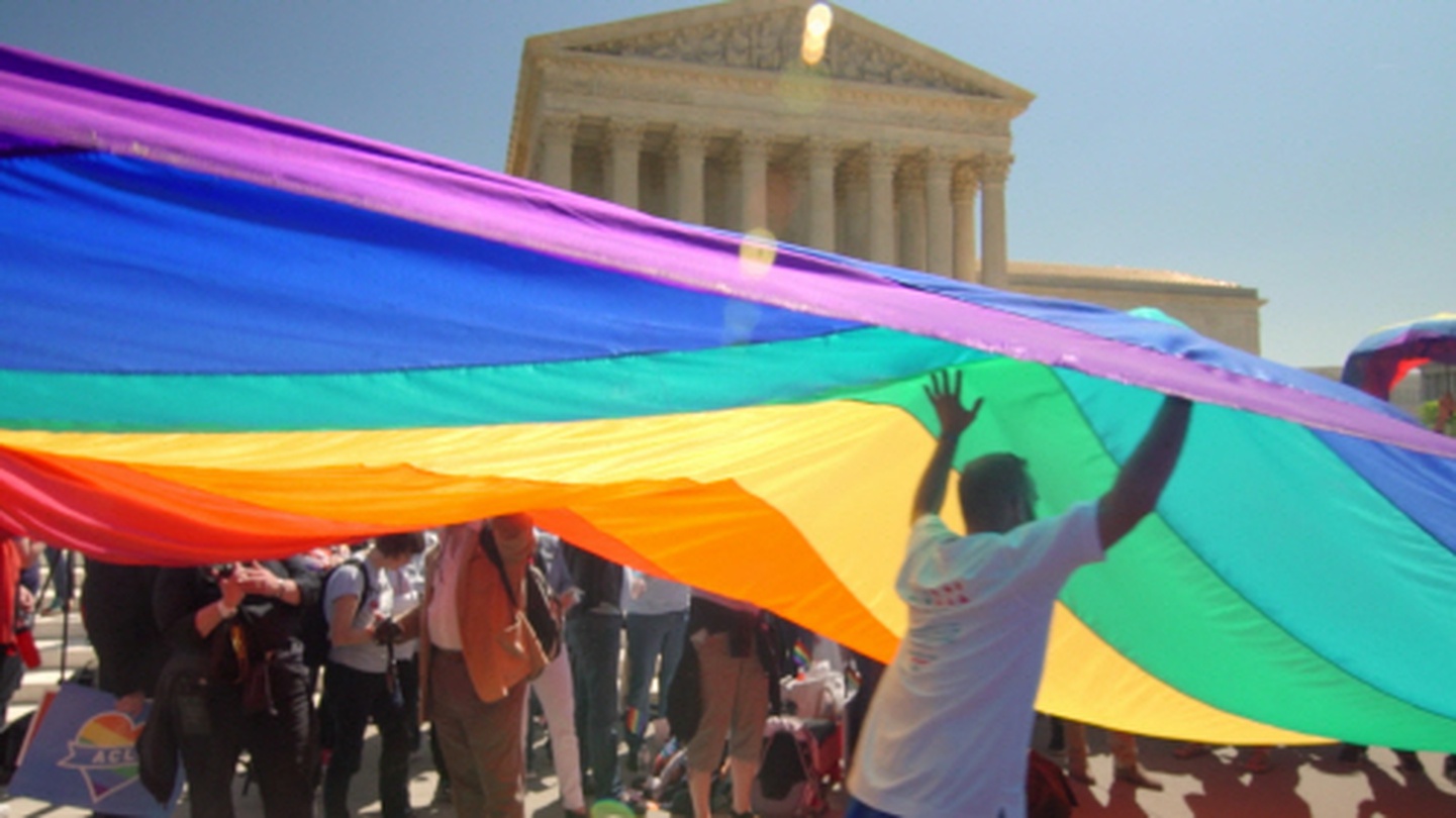 폴리티컬 애니멀 Political animals, 조나 말코비츠/트레이시 웨어즈, 2016, 88'