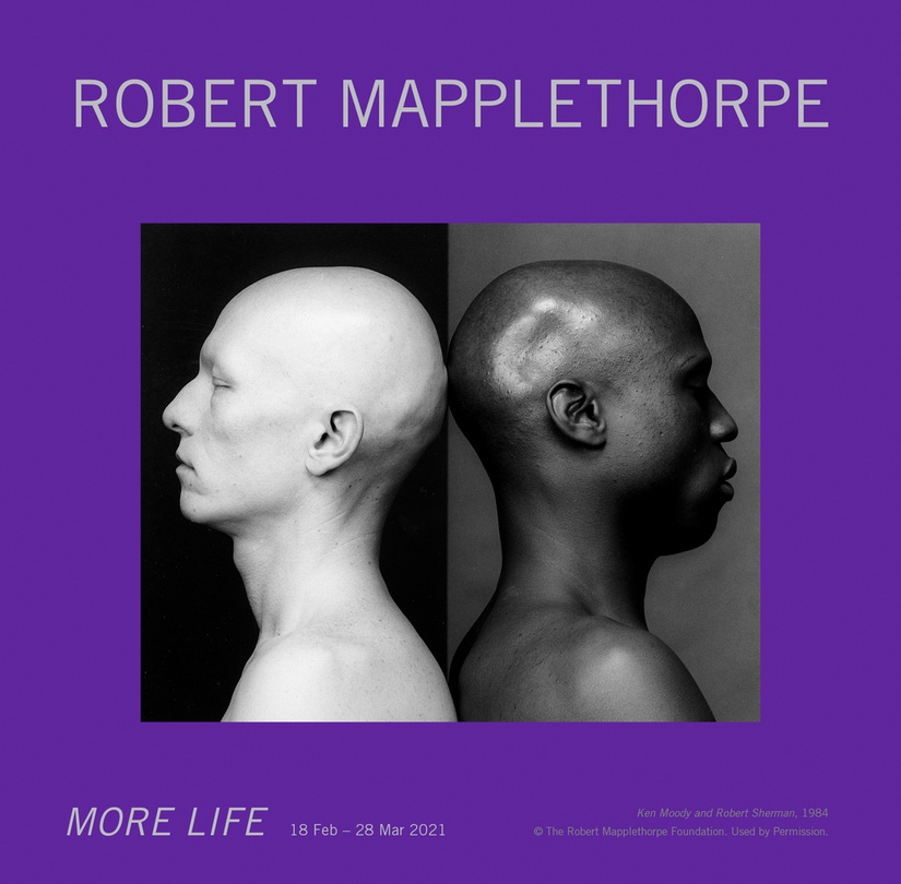 Robert Mapplethorpe : More Life