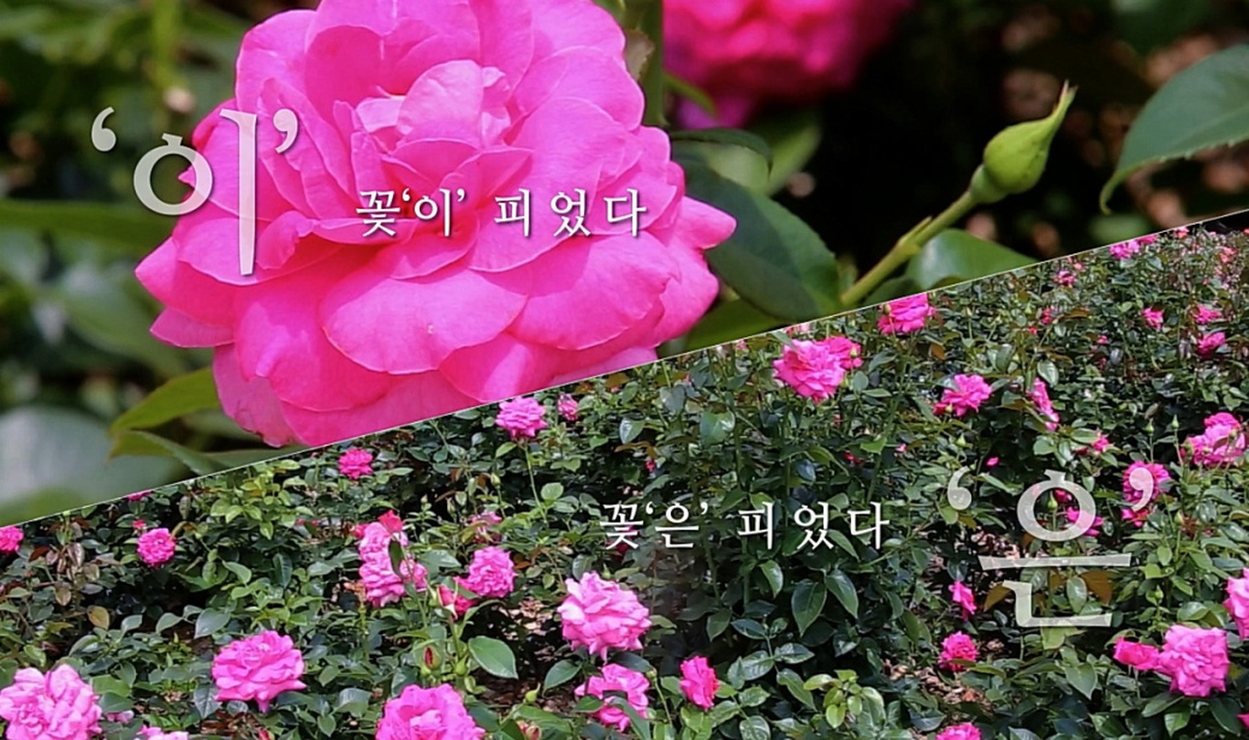 김훈의 문장에서 조사를 바꿔 넣어보는 영상과 그 문장이 주는 느낌과 어울리는 일러스트를 활용하여 미디어 아트를 전시에 소개