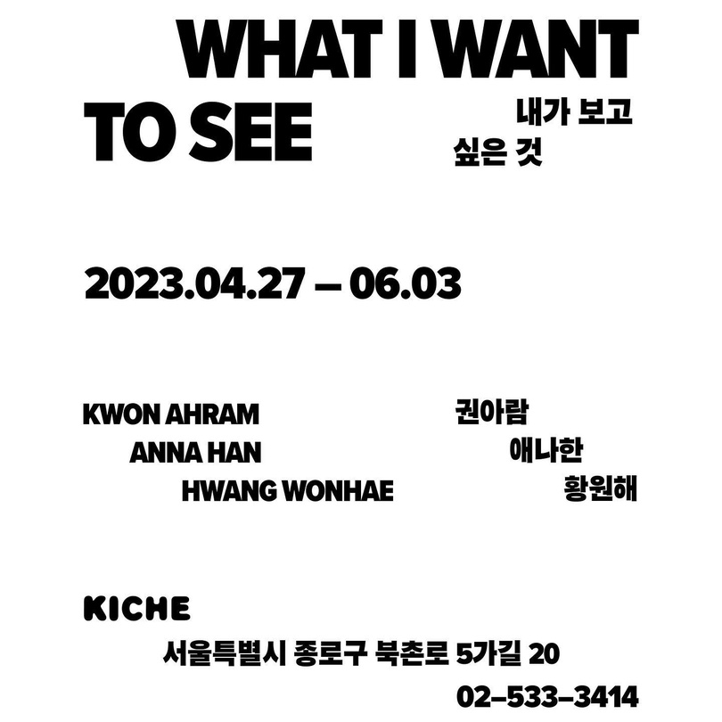 내가 보고 싶은 것, What I Want to See