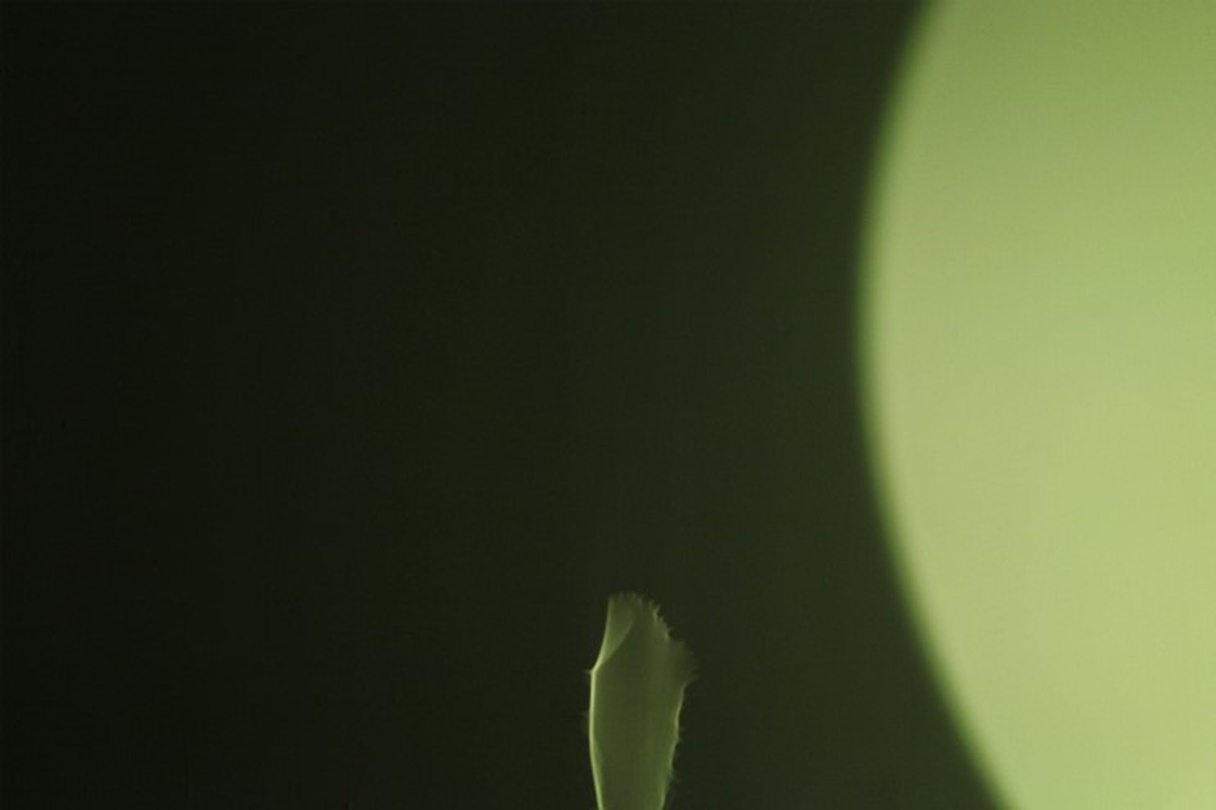 서은파, #04_adc182, Digital C-print, 50 x75 cm, 2017