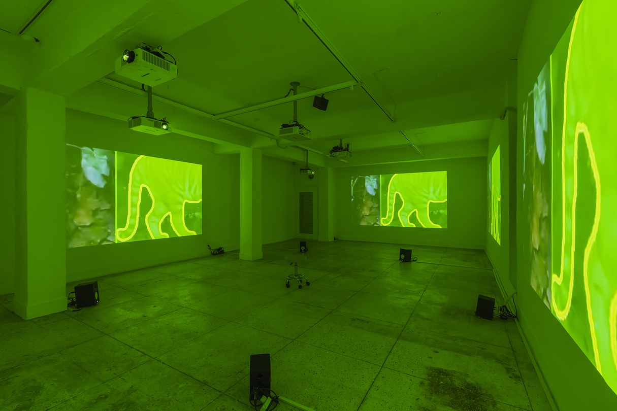 최희정, 〈오랜만에 내 그림자를 보았다〉, 2024, five-channel video(color), six-channel audio, 20 mins. 전시이미지 촬영: CJY ART STUDIO.   사운드: 정의석 / 영상기술: 구종회  / 설치: 멀티텍