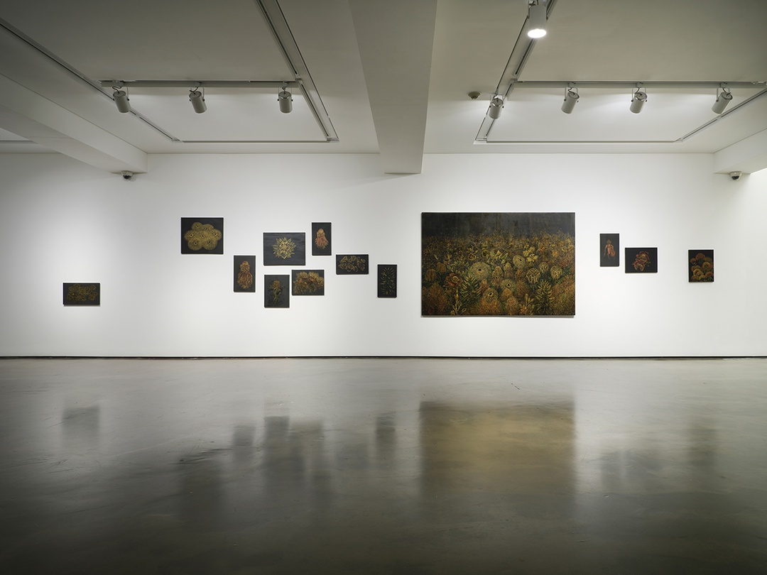 전시전경, oci미술관