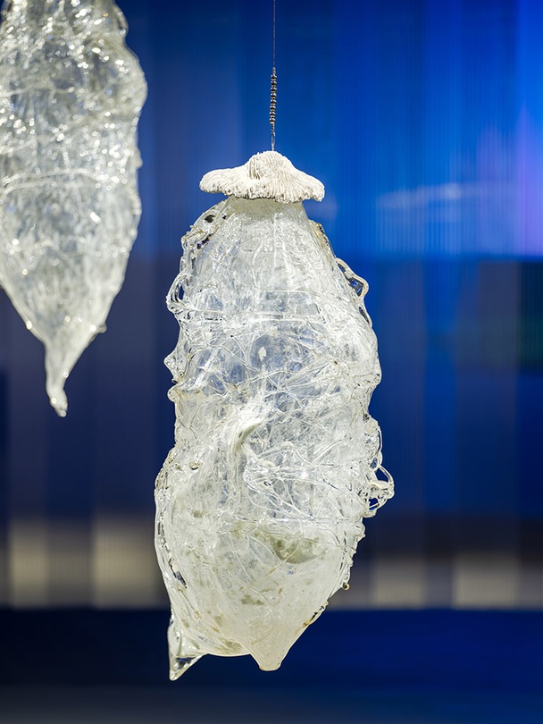 오묘초_선택받은 이질적 존재들_세부_2023-2024_유리, 스테인레스 스틸, FRP, 석고, 플라스틱_가변설치_세화미술관 제작지원 ©세화미술관