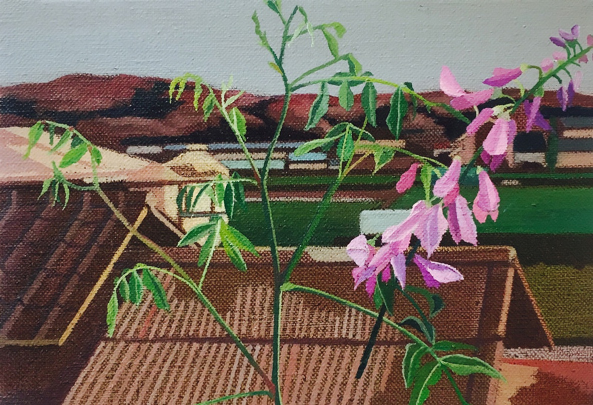 ⓒ 하세가와 사오리 Hasegawa Saori