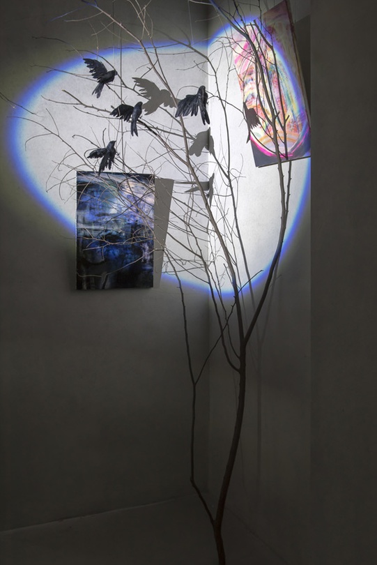 전시전경, 갤러리밈