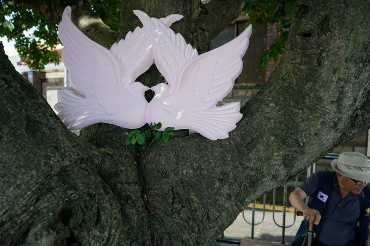 쩐 민 득, 무제(삼무조의 새들), 사진 설치(일부), 가변크기, 2019 [출처] 쩐 민 득 개인전 <분홍꽃이 피다, 여기저기 어디서나 모든 지나간 그리고 다가올 봄에>|작성자 문화공간 양