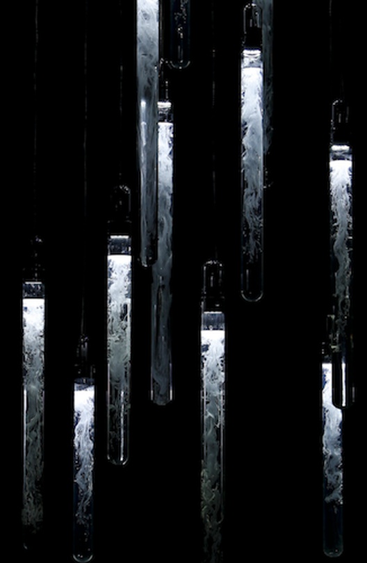 Whiteout, 2014-2017 hydrogel, acid and alkali mixture, glass, polyvinyl acetal, dimensions variable