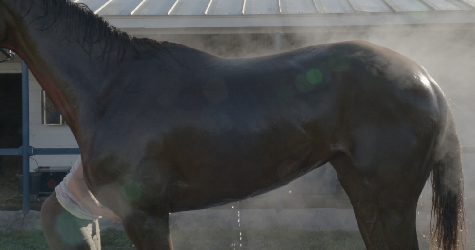 카미유 앙로, <화요일> 스틸이미지, 비디오, 사운드, 컬러, 20분 50초, 2017