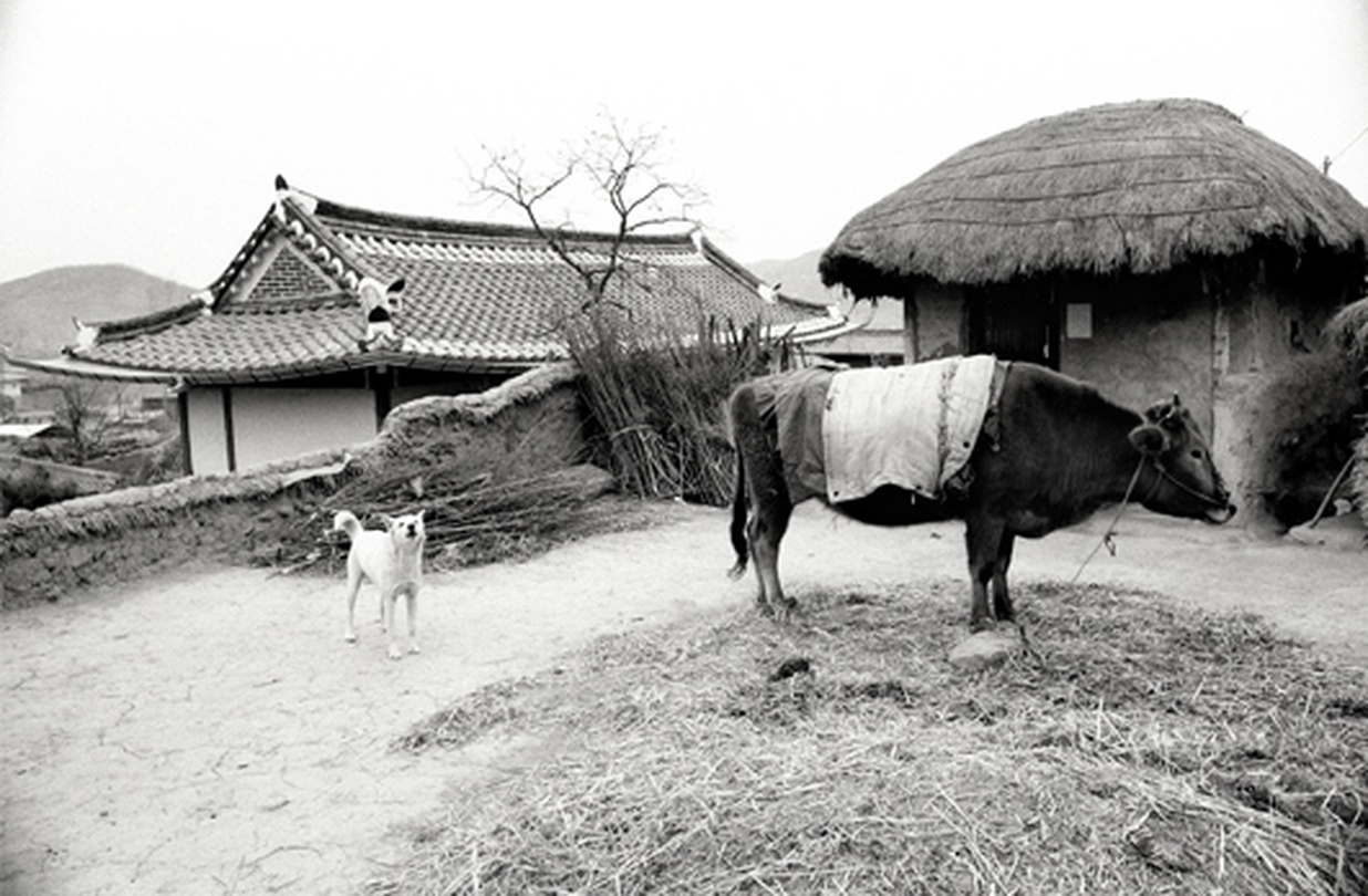 사진가 김종수 40주년 회고전 : 토지