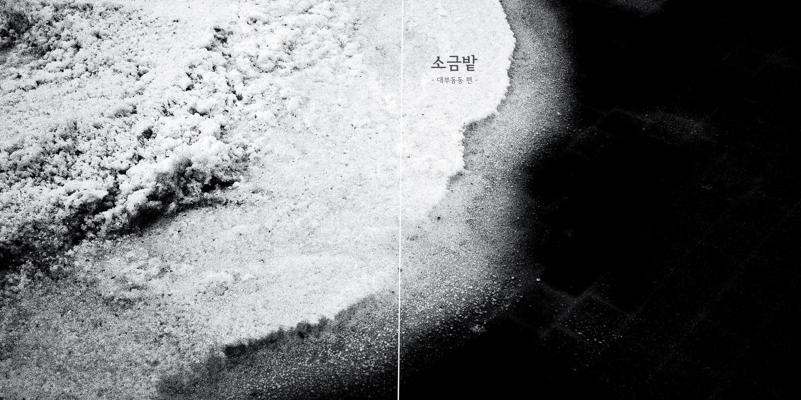 자우녕_대부도 리서치 결과 사진책 「소금밭