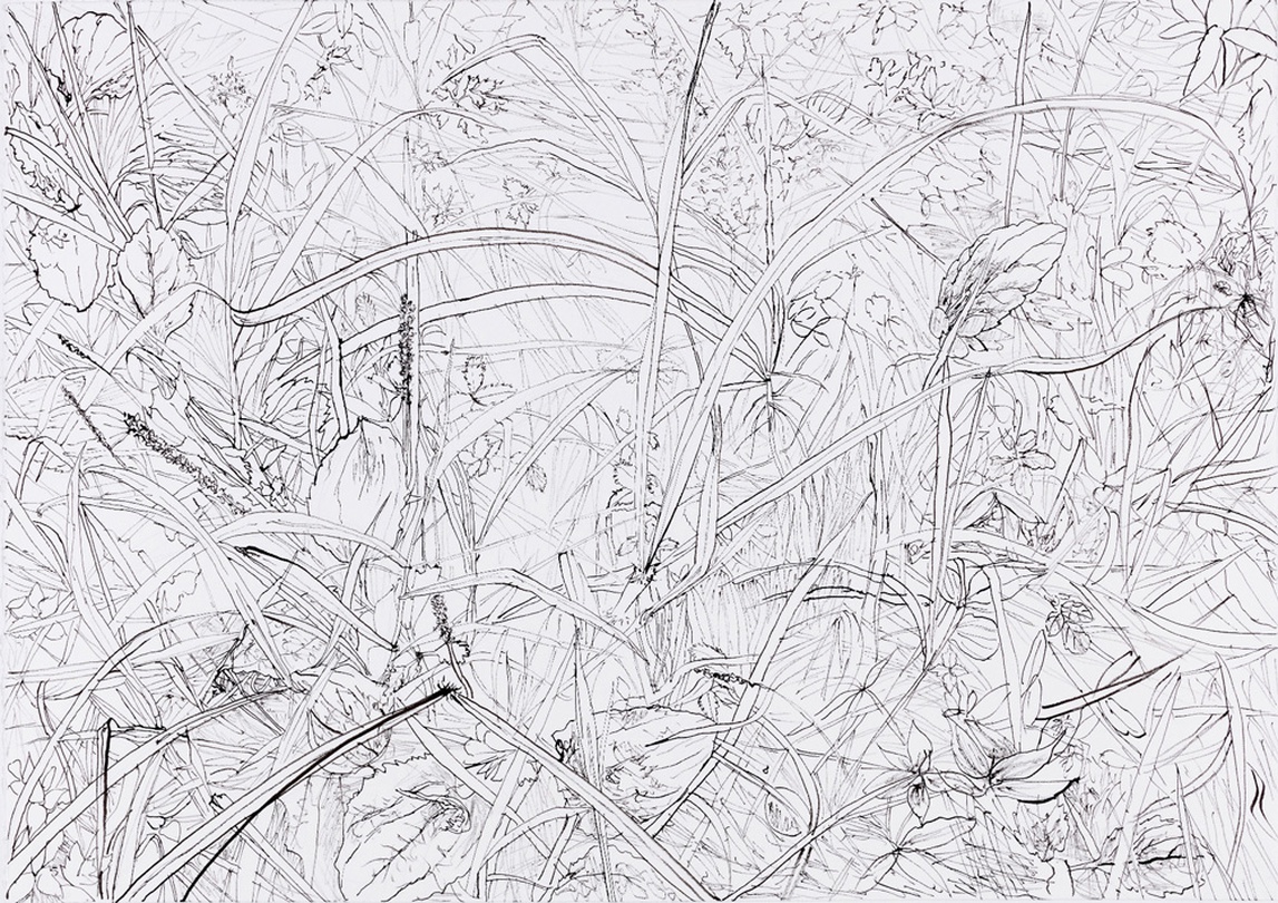 김제민, 무심한 풍경_종이에 먹_75x105.5cm_2016