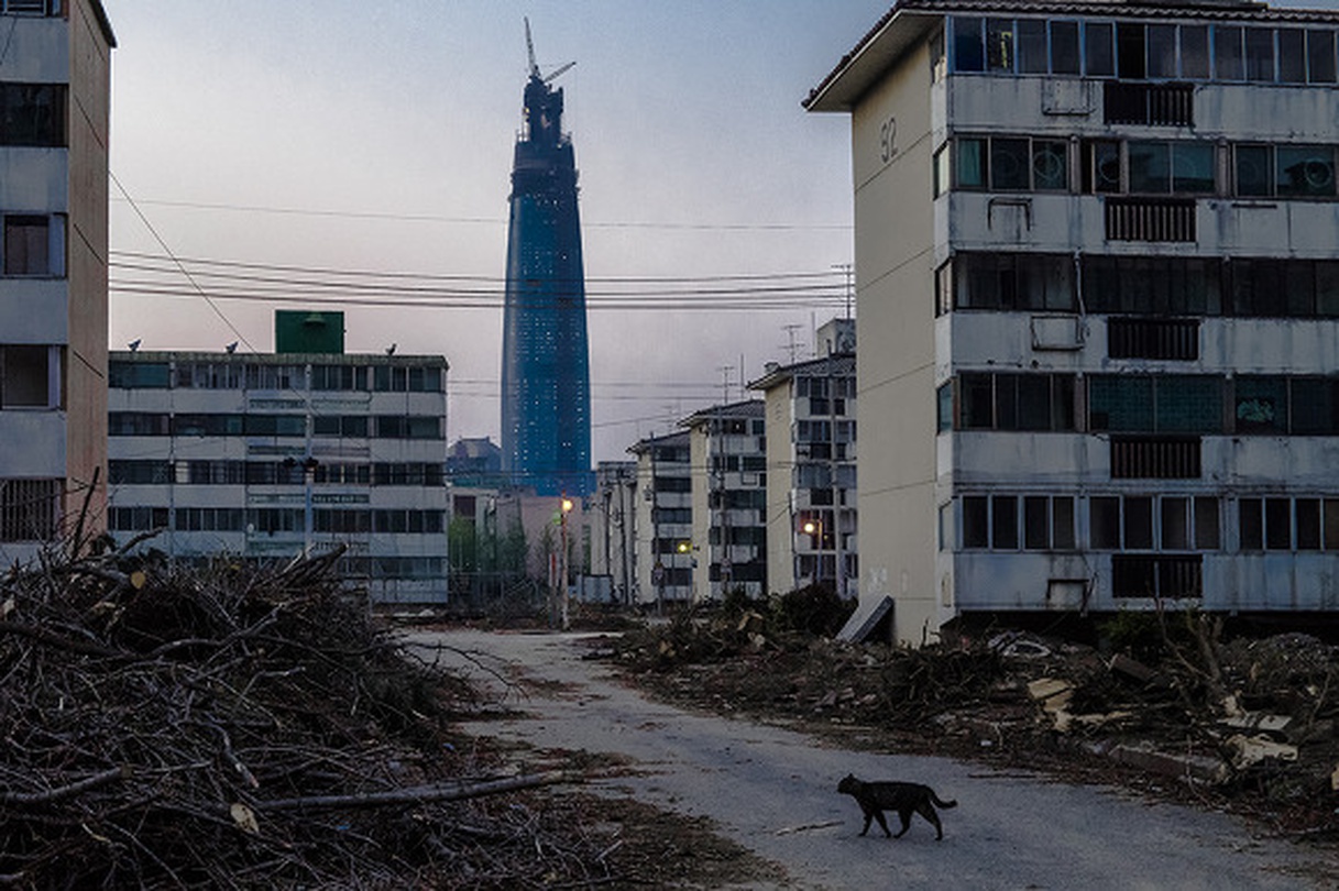 정진호 개인전 : 서울 걷기