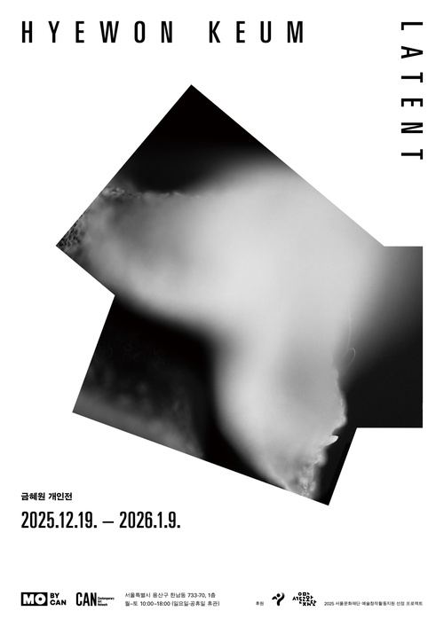 금혜원 개인전: Latent