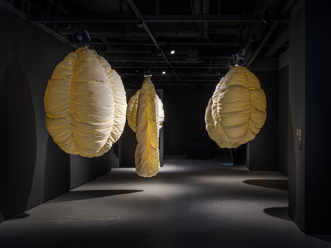 정찬민, 〈이동부피〉, 2024, 팬모터, PVC, 철제 조형물, 모터 제어 장치, 각 200 × 90 cm (5점), 세화미술관 제작지원 ©세화미술관