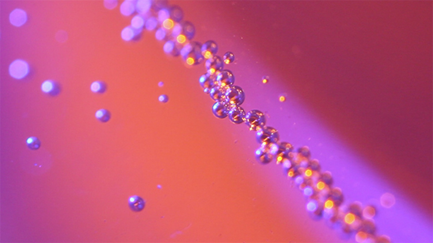 <내부의 지평> 캣 스콧