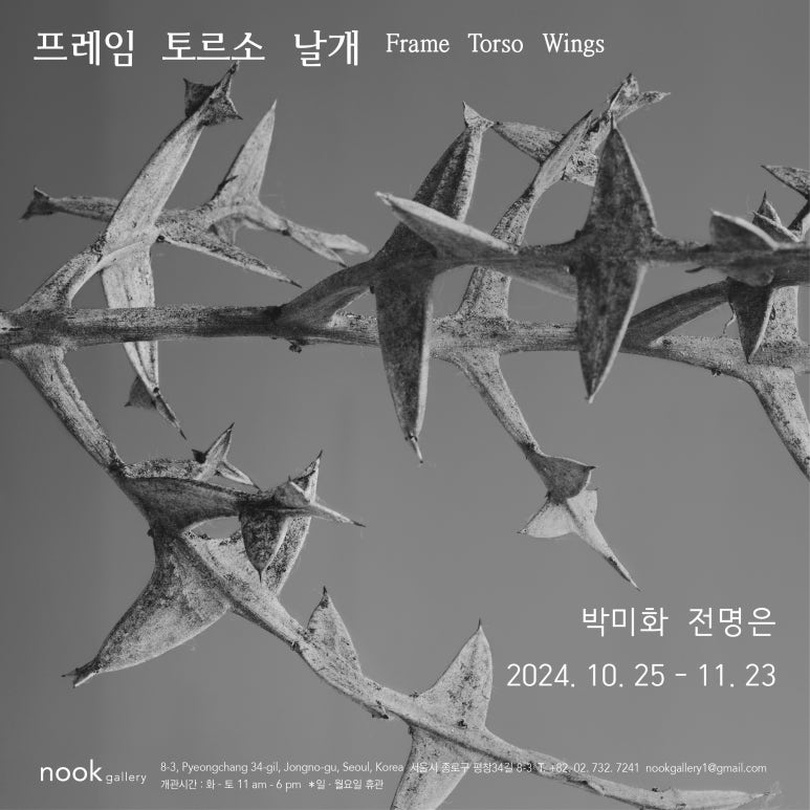 박미화, 전명은: 프레임 토르소 날개 Frame Torso Wings